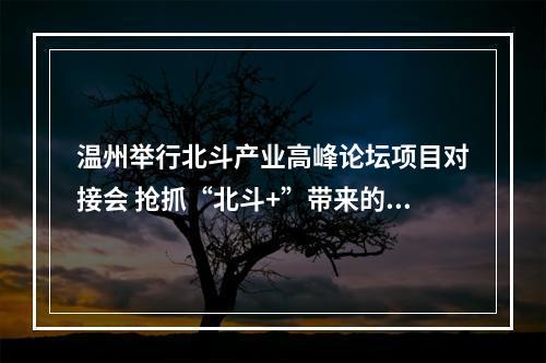 温州举行北斗产业高峰论坛项目对接会 抢抓“北斗+”带来的新机遇