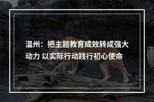 温州：把主题教育成效转成强大动力 以实际行动践行初心使命