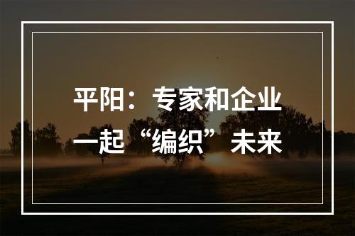 平阳：专家和企业一起“编织”未来
