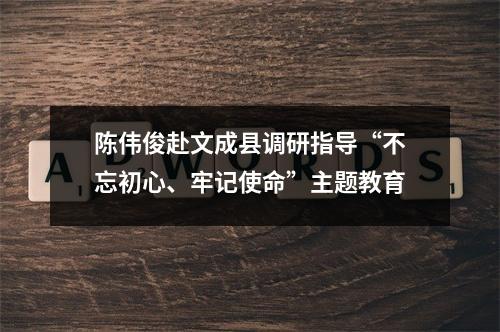 陈伟俊赴文成县调研指导“不忘初心、牢记使命”主题教育