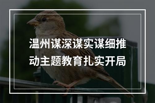 温州谋深谋实谋细推动主题教育扎实开局