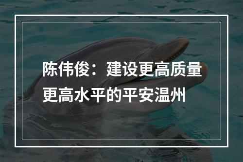 陈伟俊：建设更高质量更高水平的平安温州