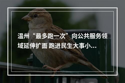 温州“最多跑一次”向公共服务领域延伸扩面 跑进民生大事小事