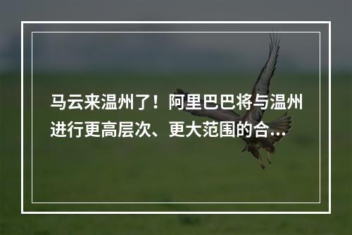 马云来温州了！阿里巴巴将与温州进行更高层次、更大范围的合作！