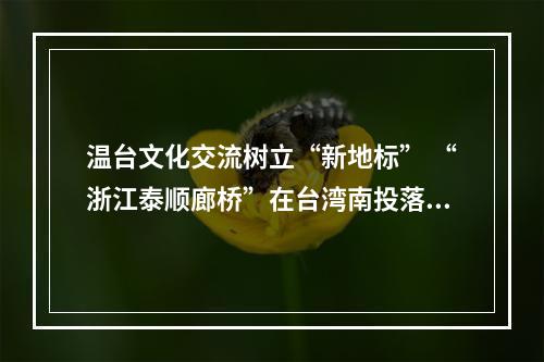 温台文化交流树立“新地标” “浙江泰顺廊桥”在台湾南投落成开放