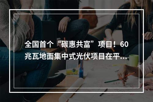 全国首个“碳惠共富”项目！60兆瓦地面集中式光伏项目在平阳落地