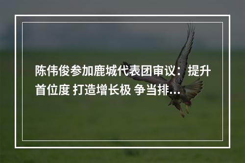 陈伟俊参加鹿城代表团审议：提升首位度 打造增长极 争当排头兵