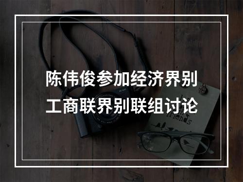 陈伟俊参加经济界别工商联界别联组讨论