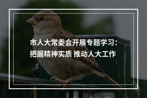 市人大常委会开展专题学习：把握精神实质 推动人大工作