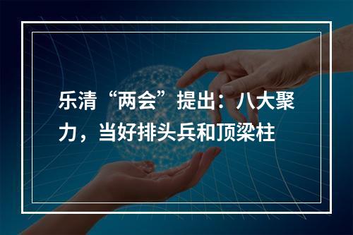 乐清“两会”提出：八大聚力，当好排头兵和顶梁柱