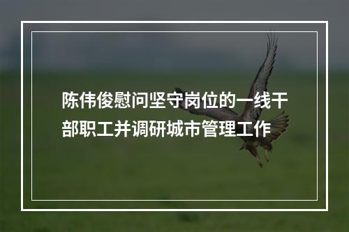 陈伟俊慰问坚守岗位的一线干部职工并调研城市管理工作