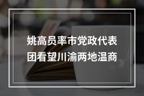 姚高员率市党政代表团看望川渝两地温商