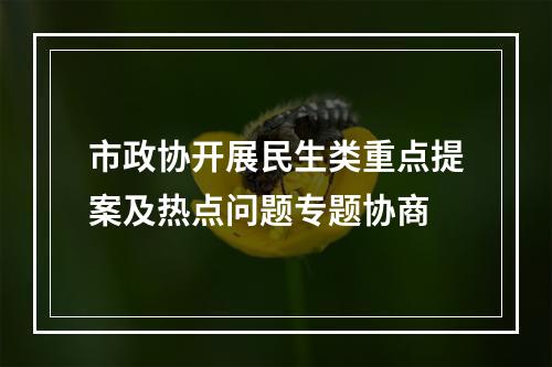 市政协开展民生类重点提案及热点问题专题协商