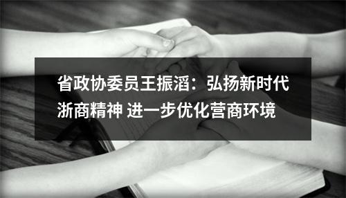 省政协委员王振滔：弘扬新时代浙商精神 进一步优化营商环境