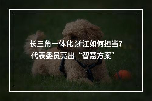 长三角一体化 浙江如何担当？ 代表委员亮出“智慧方案”