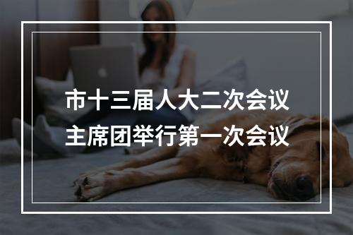 市十三届人大二次会议主席团举行第一次会议