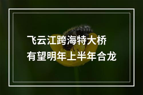 飞云江跨海特大桥 有望明年上半年合龙