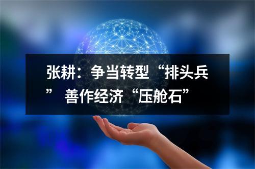 张耕：争当转型“排头兵” 善作经济“压舱石”