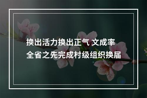 换出活力换出正气 文成率全省之先完成村级组织换届