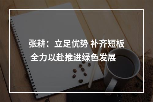 张耕：立足优势 补齐短板 全力以赴推进绿色发展
