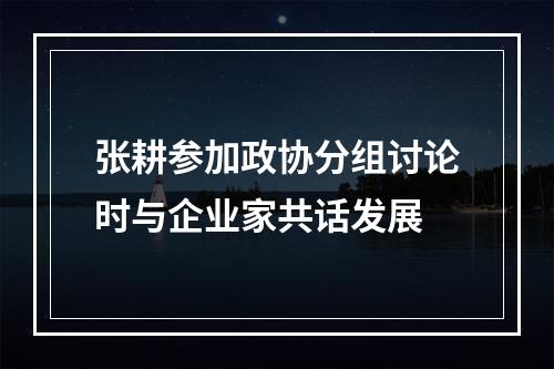 张耕参加政协分组讨论时与企业家共话发展