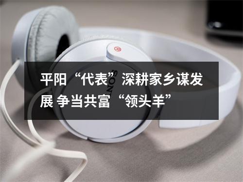 平阳“代表”深耕家乡谋发展 争当共富“领头羊”