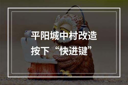 平阳城中村改造按下“快进键”
