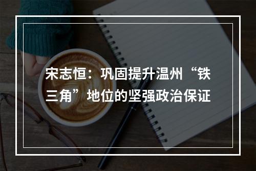 宋志恒：巩固提升温州“铁三角”地位的坚强政治保证
