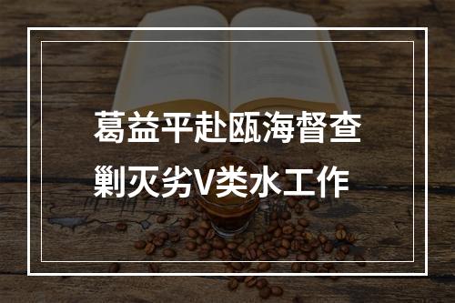 葛益平赴瓯海督查剿灭劣V类水工作