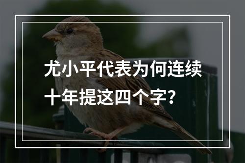 尤小平代表为何连续十年提这四个字？