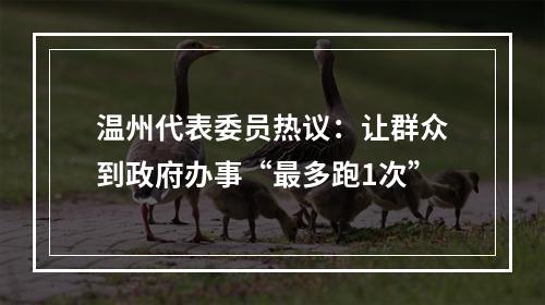温州代表委员热议：让群众到政府办事“最多跑1次”