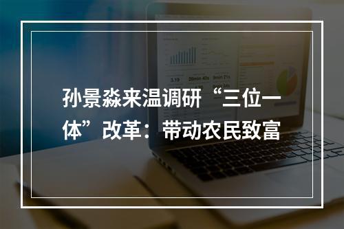 孙景淼来温调研“三位一体”改革：带动农民致富