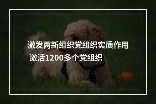 激发两新组织党组织实质作用 激活1200多个党组织