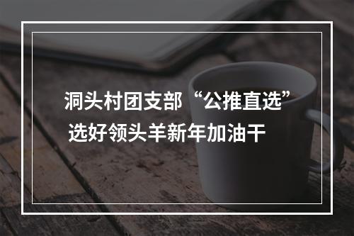 洞头村团支部“公推直选” 选好领头羊新年加油干