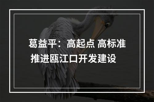 葛益平：高起点 高标准 推进瓯江口开发建设