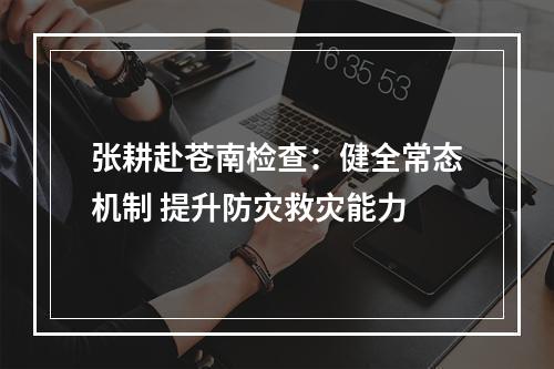 张耕赴苍南检查：健全常态机制 提升防灾救灾能力