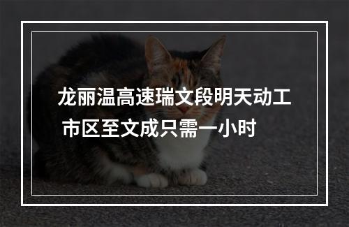 龙丽温高速瑞文段明天动工 市区至文成只需一小时