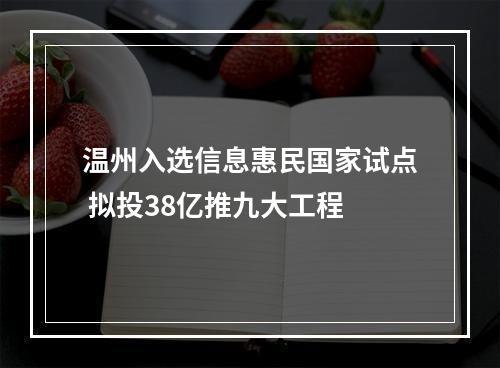 温州入选信息惠民国家试点 拟投38亿推九大工程