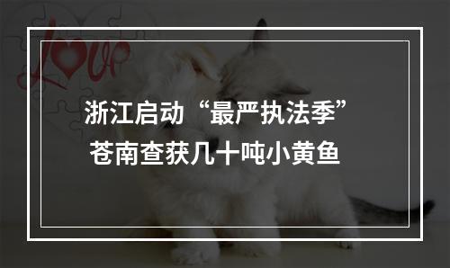 浙江启动“最严执法季”  苍南查获几十吨小黄鱼