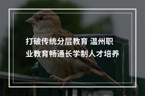 打破传统分层教育 温州职业教育畅通长学制人才培养