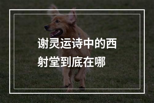 谢灵运诗中的西射堂到底在哪