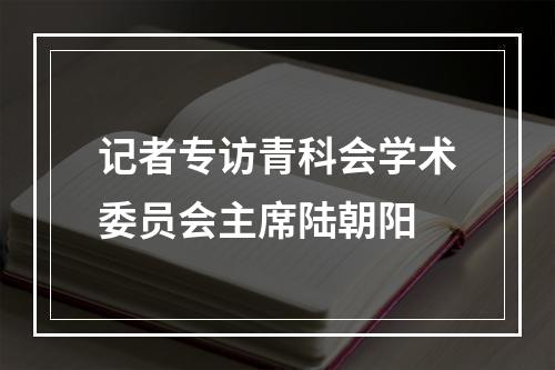 记者专访青科会学术委员会主席陆朝阳