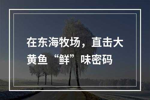 在东海牧场，直击大黄鱼“鲜”味密码