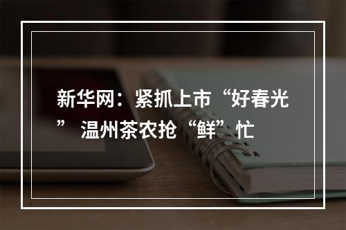 新华网：紧抓上市“好春光” 温州茶农抢“鲜”忙