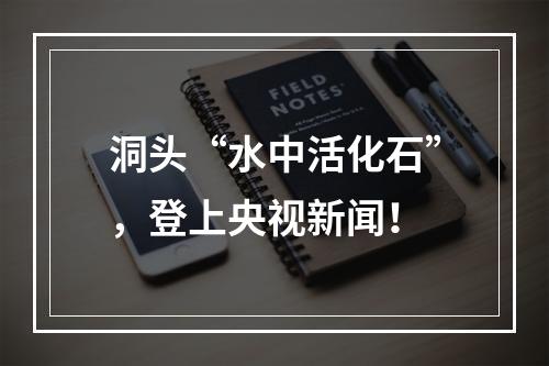 洞头“水中活化石”，登上央视新闻！