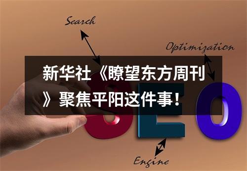 新华社《瞭望东方周刊》聚焦平阳这件事！