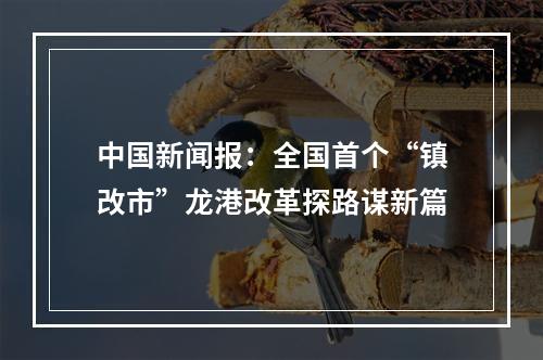 中国新闻报：全国首个“镇改市”龙港改革探路谋新篇