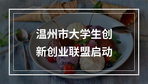 温州市大学生创新创业联盟启动