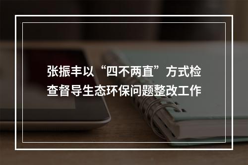 张振丰以“四不两直”方式检查督导生态环保问题整改工作