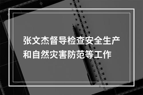 张文杰督导检查安全生产和自然灾害防范等工作